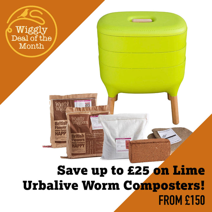 Our Deal of the Month April 2025 - Save up to £25 on Our Bestselling Lime Urbalive Worm Composter Kits!
