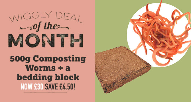 Wiggly Deal of the Month Aug 2023 - 500g Composting Worms and a bedding block for £30 - SAVE £4.50!