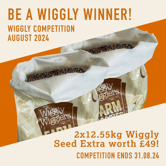 WIN WITH WIGGLY AUGUST 2024 – 2x12.55kg Wiggly Seed Extra worth £49!