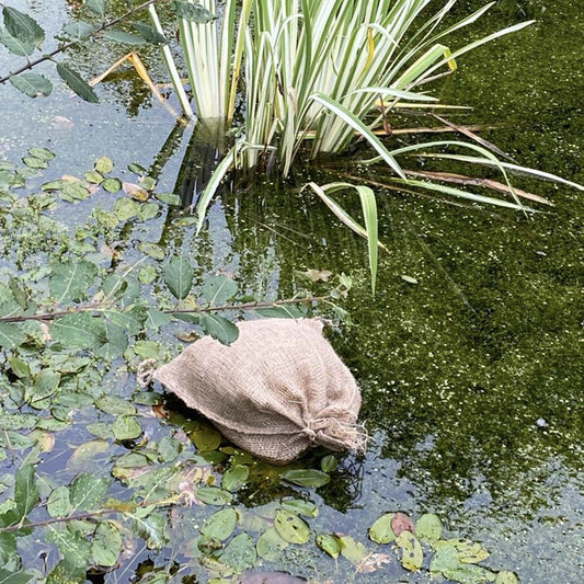 Unlocking Nature's Secret: How Barley Straw at Lower Blakemere Farm Naturally Enhances Your Pond AND Supports Sustainable Farming