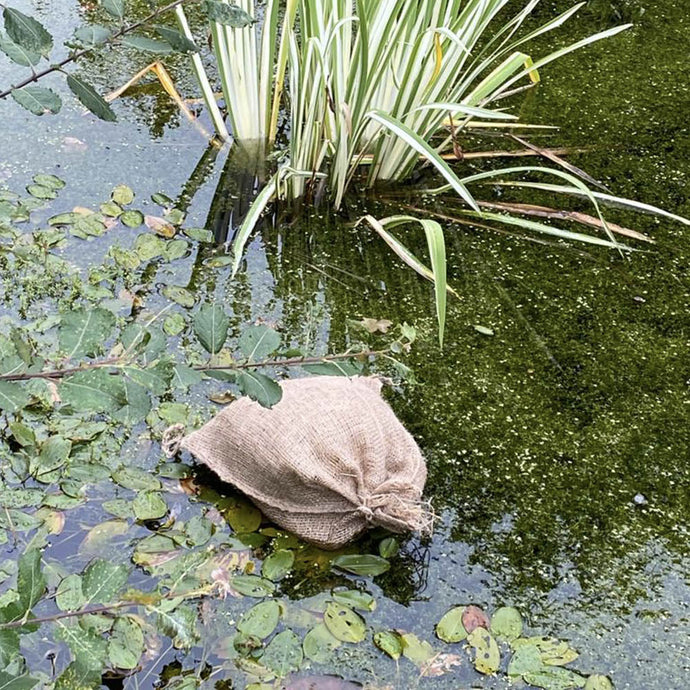 Adding Barley Straw to Your Pond