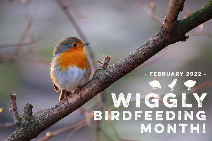 WELCOME TO WIGGLY BIRDFEEDING MONTH!