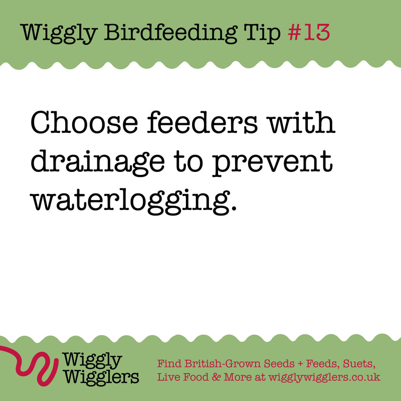 Don't let the British Summer spoil your bird food!