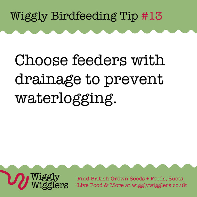 Don't let the British Summer spoil your bird food!