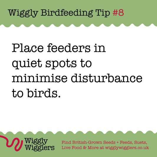 Consider where you place your bird feeders...
