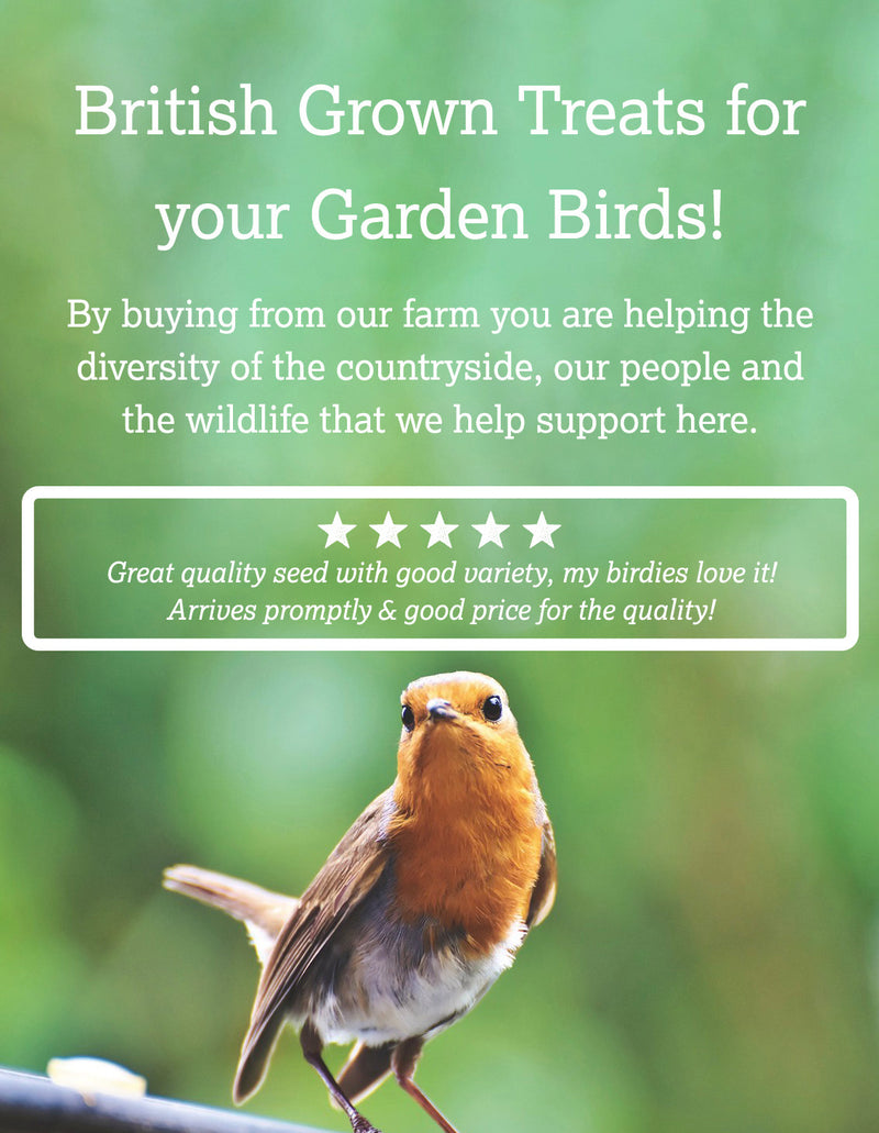 Three reasons to buy your Birdfood from Wiggly Wigglers