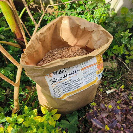 🪱 Wiggly Bokashi Giveaway – Composting Day