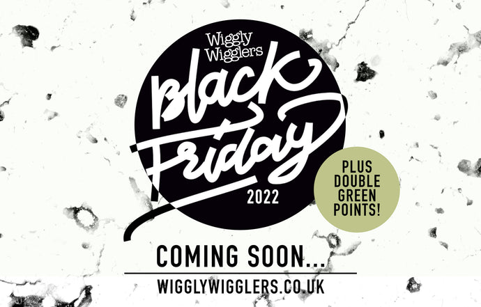 Wiggly Black Friday Deals Coming Soon!