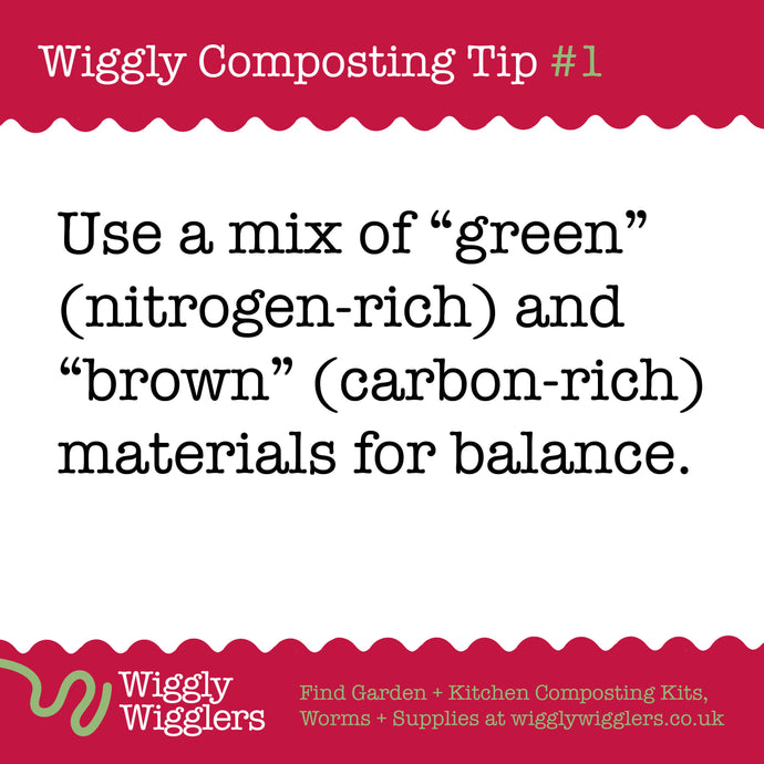 How to balance your worm composter for the best environment for your worms