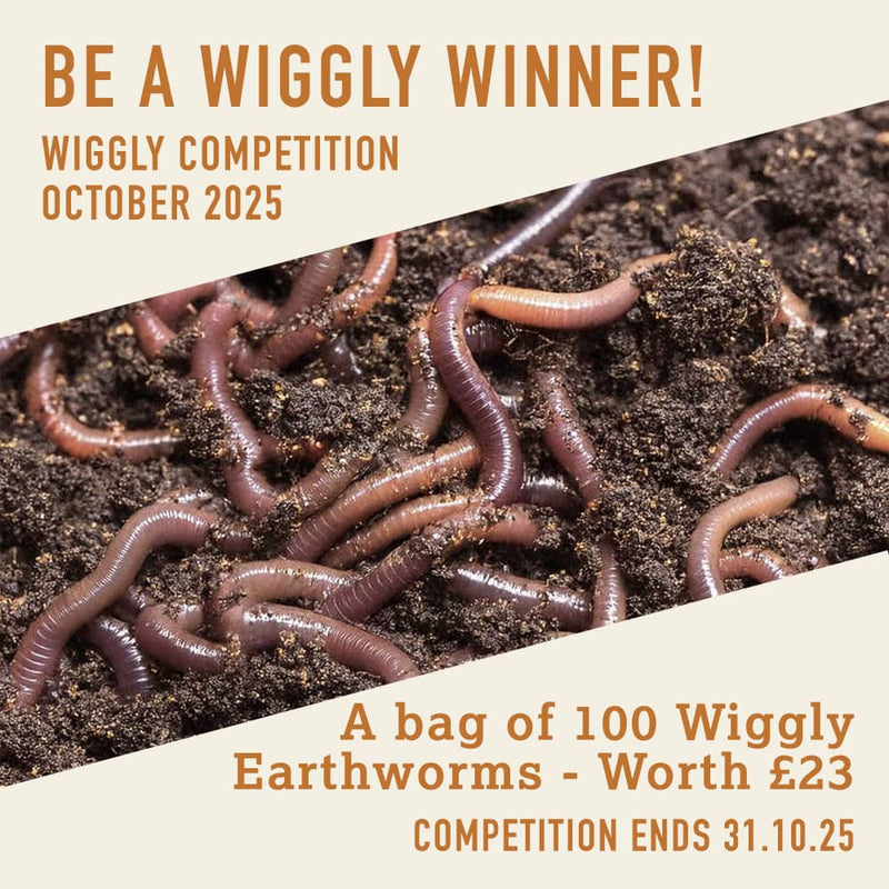 WIN WITH WIGGLY - October 25 - 100 Earthworms for your soil - Worth £23