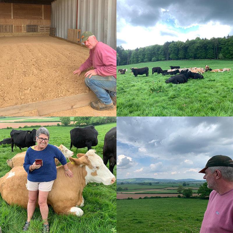 The Wiggly Podcast - Episode 264 - That's Understanda-bull.