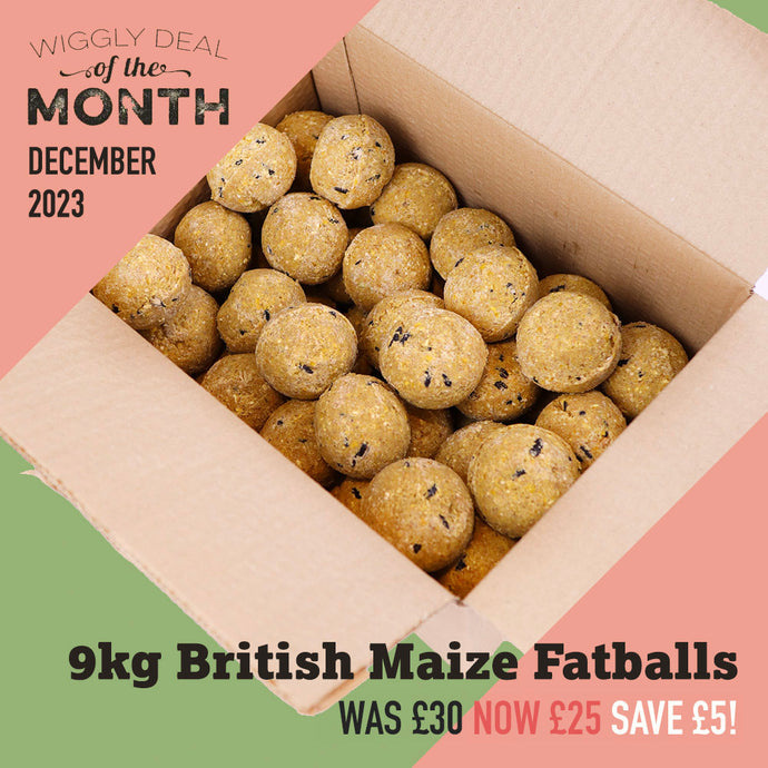 Our Deal of the Month December 2023 - 9kg (approx 100) British Maize Fatballs for £25 - Saving £5!