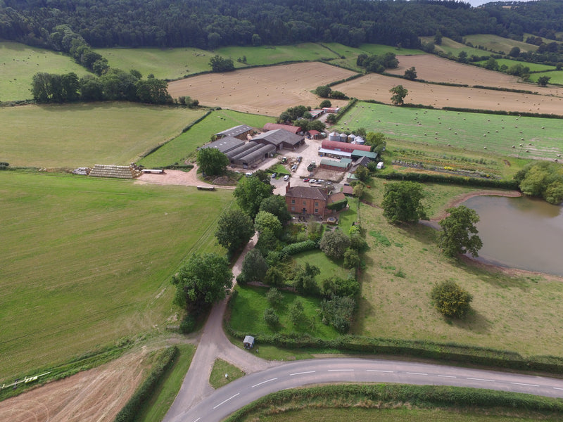 Lower Blakemere Birdseed – direct from our farm.