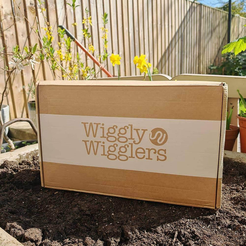 Why We’re Pausing Next-Day Delivery (Just for a Mo!