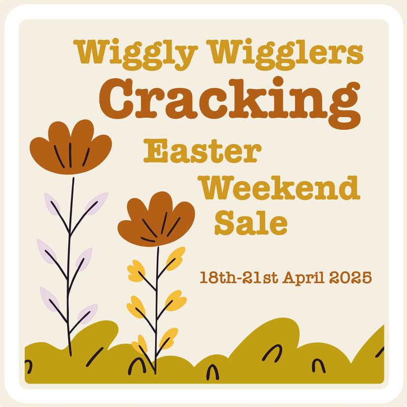 Our Wiggly Cracking Easter Sale Ends Tonight! 🐣🌸