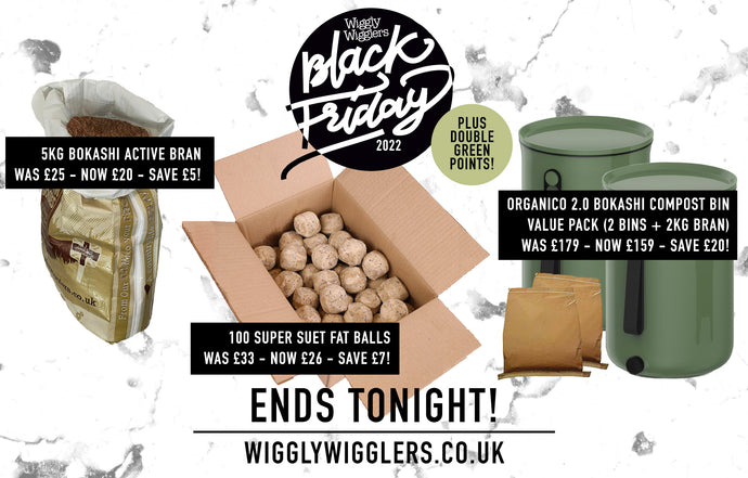 Our Wiggly BLACK FRIDAY offers end at Midnight Tonight!