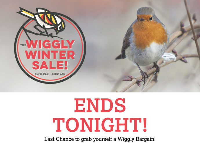 Our Wiggly Winter Sale ENDS TONIGHT!