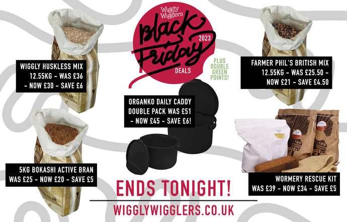 Our BLACK FRIDAY DEALS End Midnight Tonight! PLUS get DOUBLE GREEN POINTS!