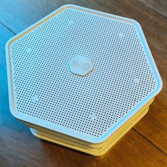 A Guide to Setting Up and Running Your Mealworm Farm with The Bug Factory