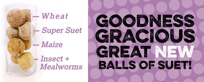 Introducing our NEW SUET BALLS!