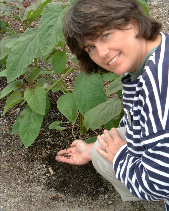 Eden Project worms.