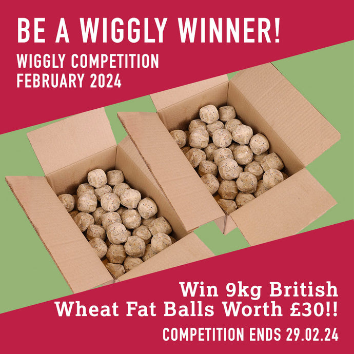WIN WITH WIGGLY FEBRUARY 2024 – 9KG BRITISH WHEAT FAT BALLS - WORTH £30!