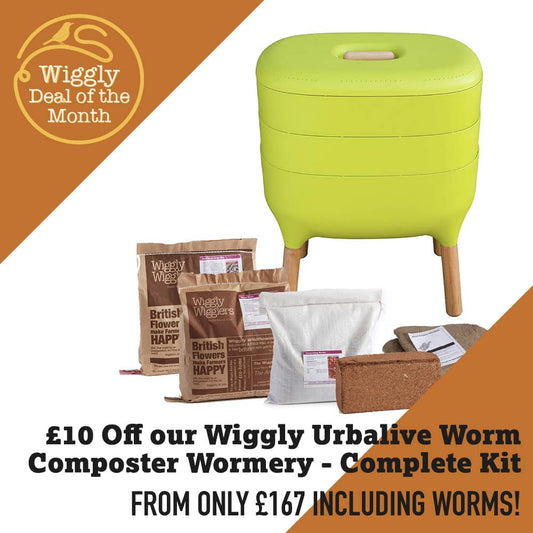 Our Deal of the Month FEBRUARY 2026 - £10 off Wiggly Urbalive Worm Composter Wormery - Complete Kit! Available in 3 Colours!