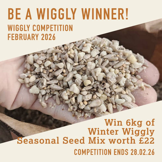 WIN WITH WIGGLY - FEBRUARY 2026 - Win 6kg of our Winter Wiggly Seasonal Seed Mix worth £22