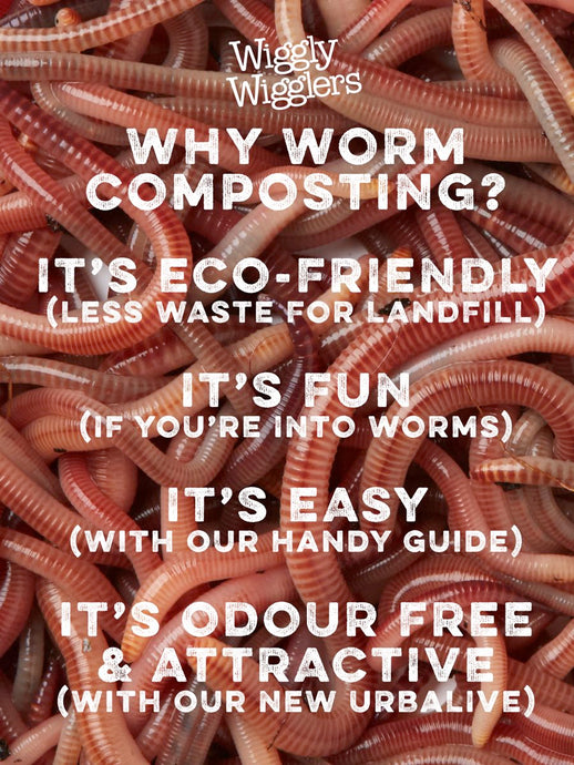 Why Worm Composting?