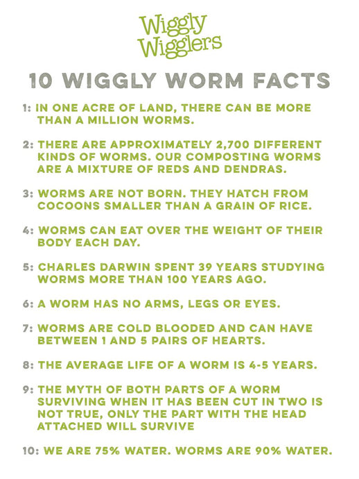 10 Wiggly Worm Facts
