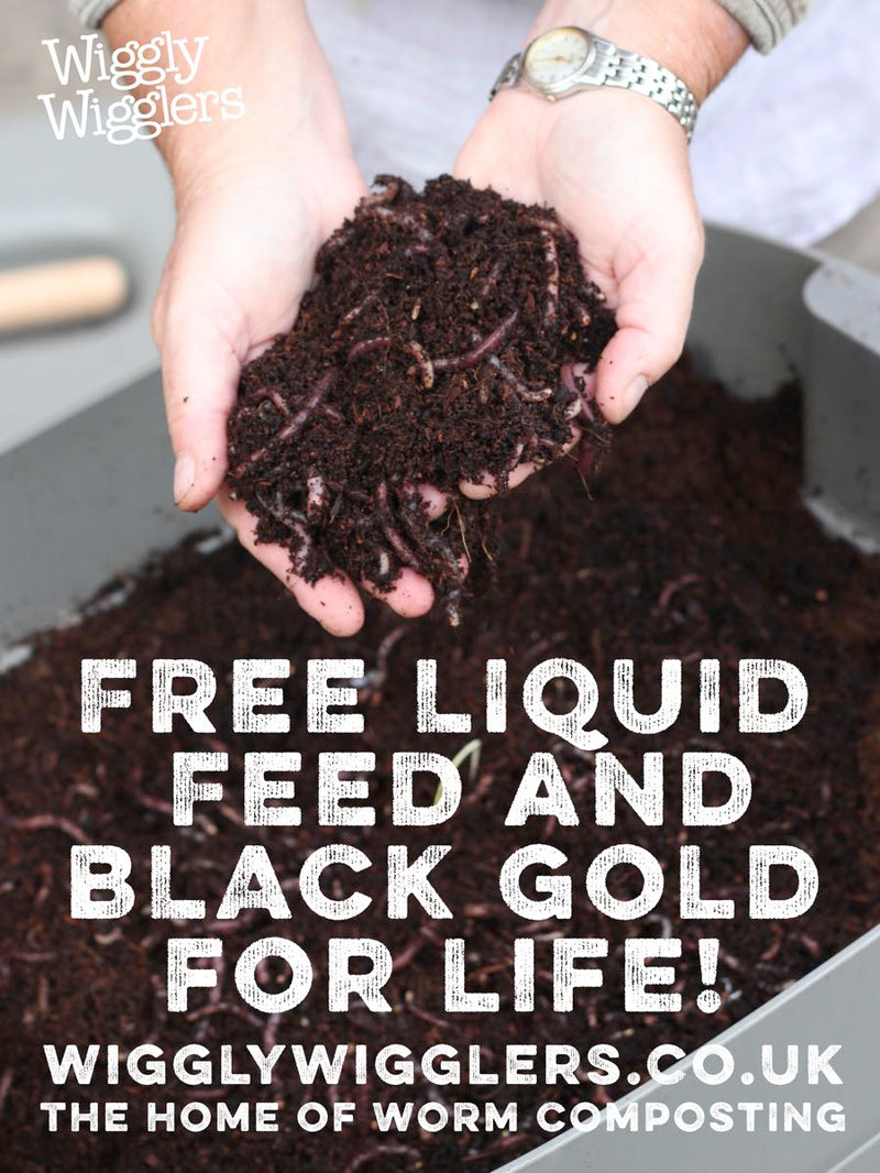 The Home of Worm Composting