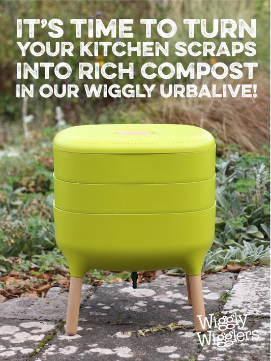 Kitchen Scraps to Rich Compost the Easy Way!