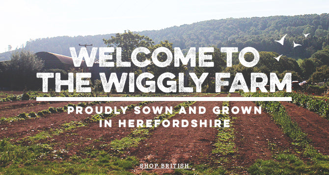 Wiggly Podcast Monthly Rundown #3: Episodes 41 - 60