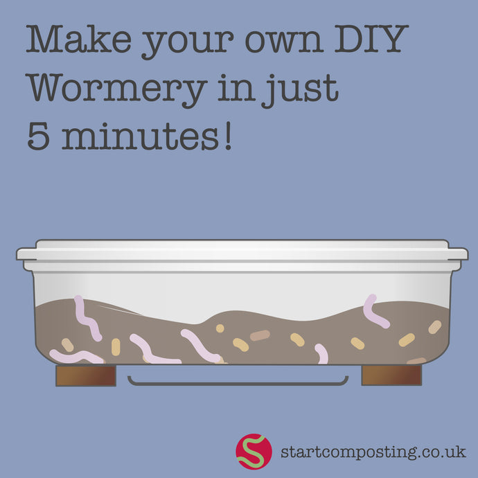 How to make your own Wormery!