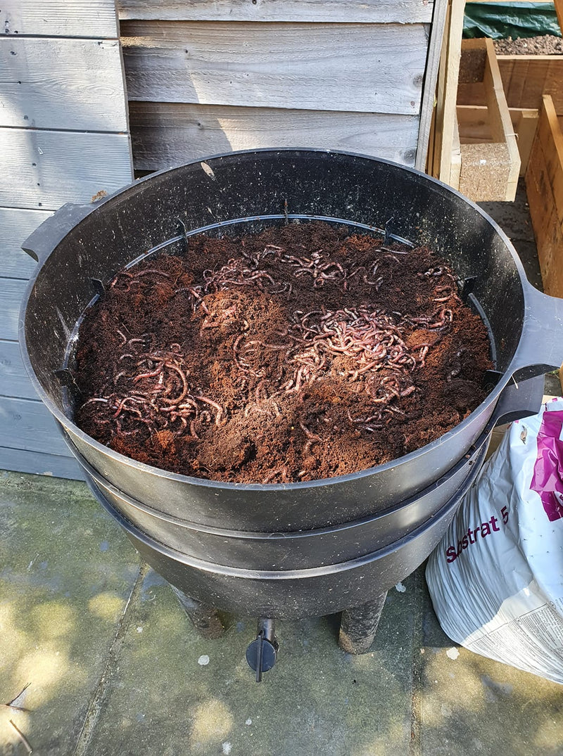 Revive your old Wormery with our Rescue Kit!