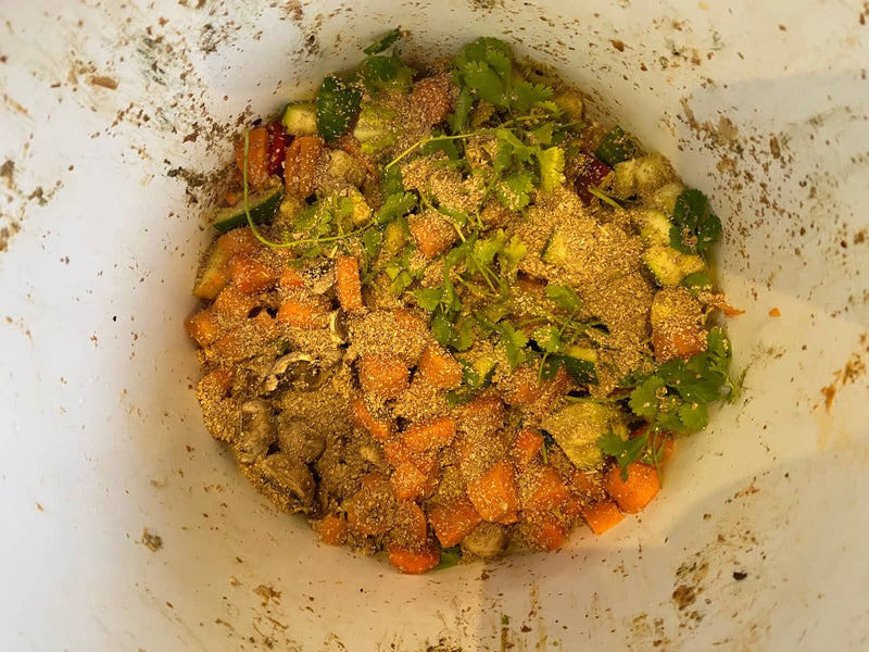 How Nina Transformed Her Food Waste with DIY Bokashi Composting