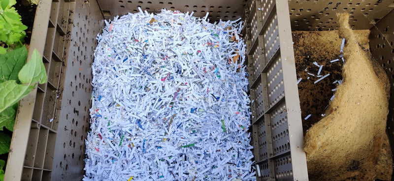 Feeding The SubPod Wormery by Simon Sherlock