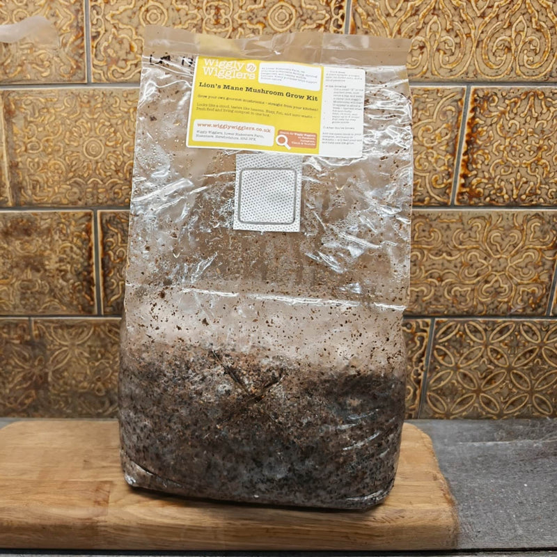 You may have missed our Wiggly Mushroom Growing Kits!