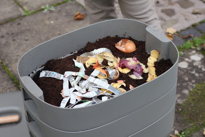 Harvesting your Worm Compost!
