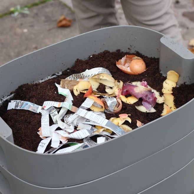 Troubleshooting your Wormery in the Spring