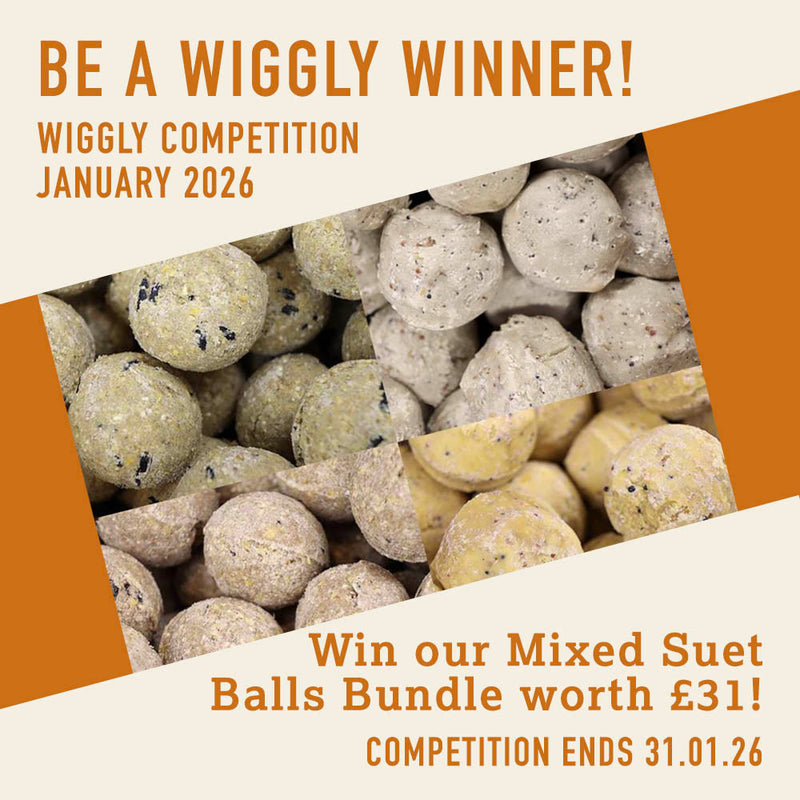 WIN WITH WIGGLY - January 26 - WIN our Mixed Suet Balls Bundle worth £31!