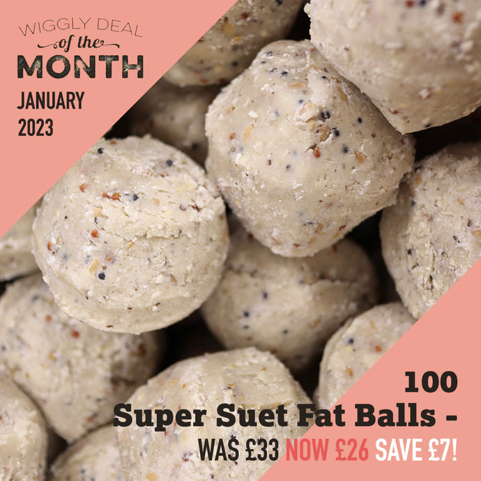 Our January 2023 Deal of the Month - 9.5kg of Super Suet Fat Balls £26 (Saving £7)