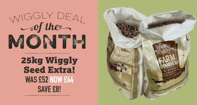 Wiggly Deal of the Month July 2023 - 25kg Wiggly Seed Extra for £44 - WAS £52 - SAVE £8!