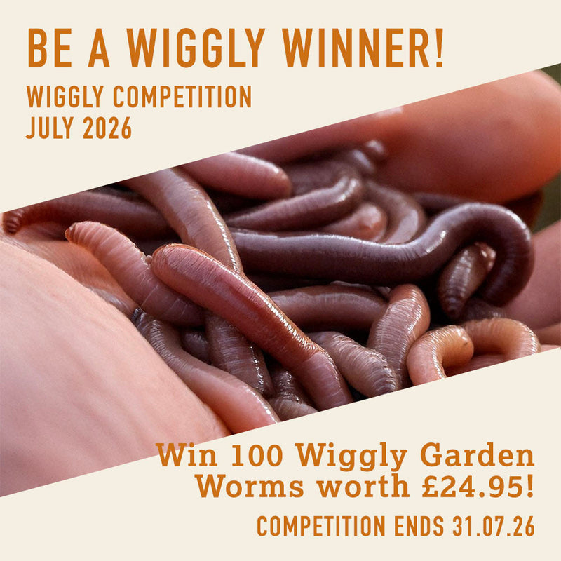WIN WITH WIGGLY - JULY 2026 - Win 100 Wiggly Garden Worms worth £24.95!