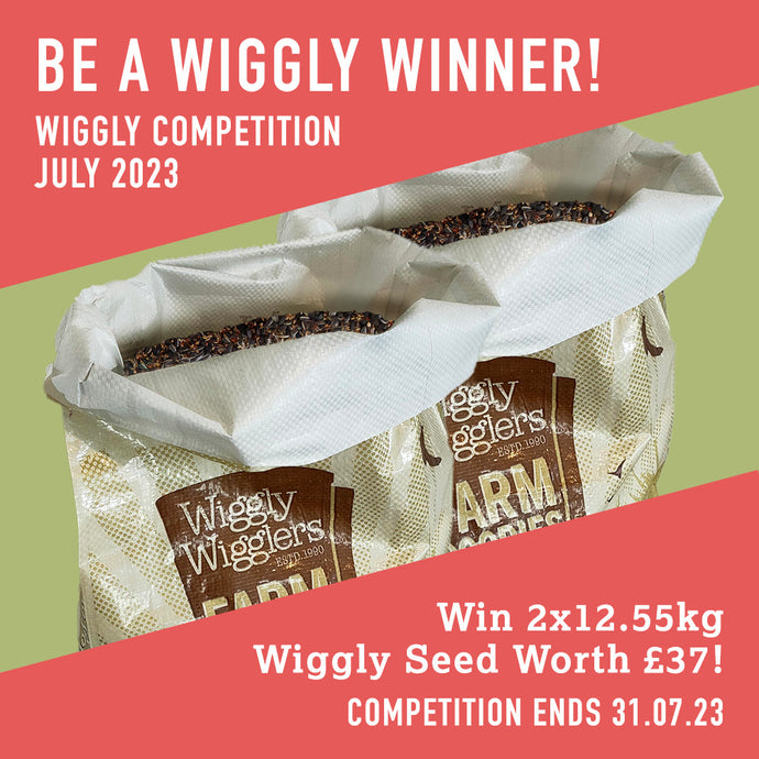 WIN WITH WIGGLY JULY 2023 – 2x12.55kg Wiggly Seed worth £37!