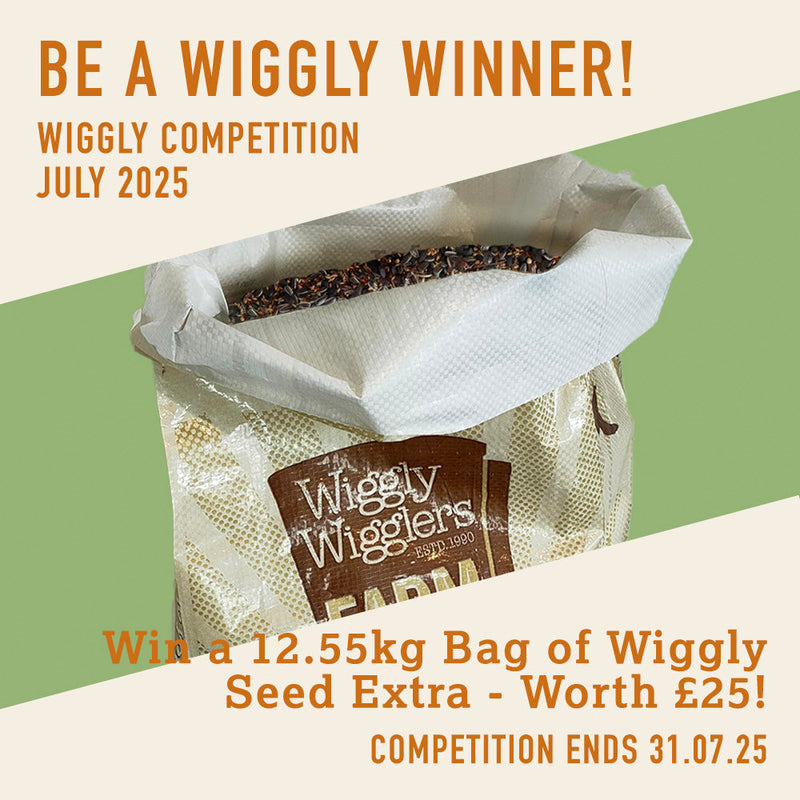 WIN WITH WIGGLY - JULY 25 -Win a big 12.55kg Bag of Wiggly Seed Extra - Worth £25!