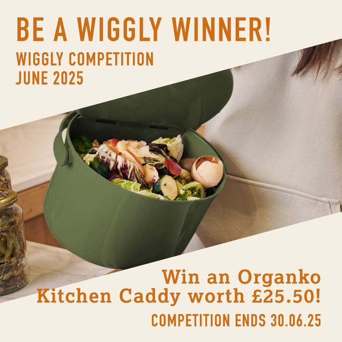 WIN WITH WIGGLY - JUNE 25 - Win an Organko Daily 3.3L Kitchen Caddy worth £25.50!