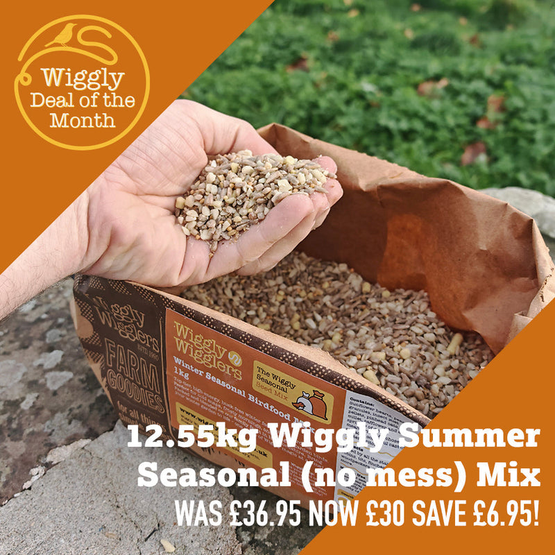 Our Deal of the Month JUNE 2026 - 12.55KG Wiggly Summer Seasonal (no mess) Mix - Save £6.95 - NOW £30