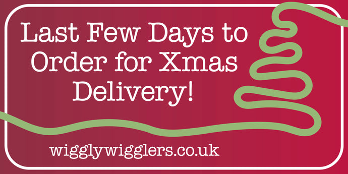 Last Few Days to order for Delivery for Christmas!