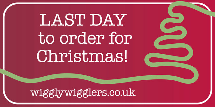 Order by 4pm TODAY for delivery before Christmas!